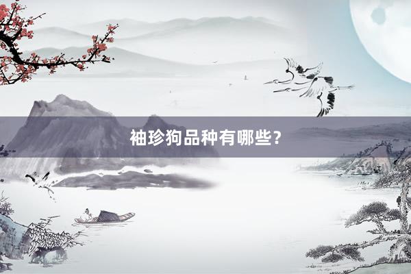 袖珍狗品种有哪些?