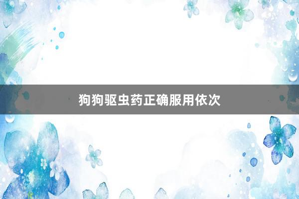 狗狗驱虫药正确服用依次